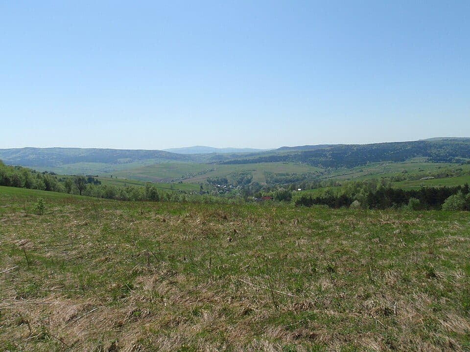 Jawornik (Beskid Niski)