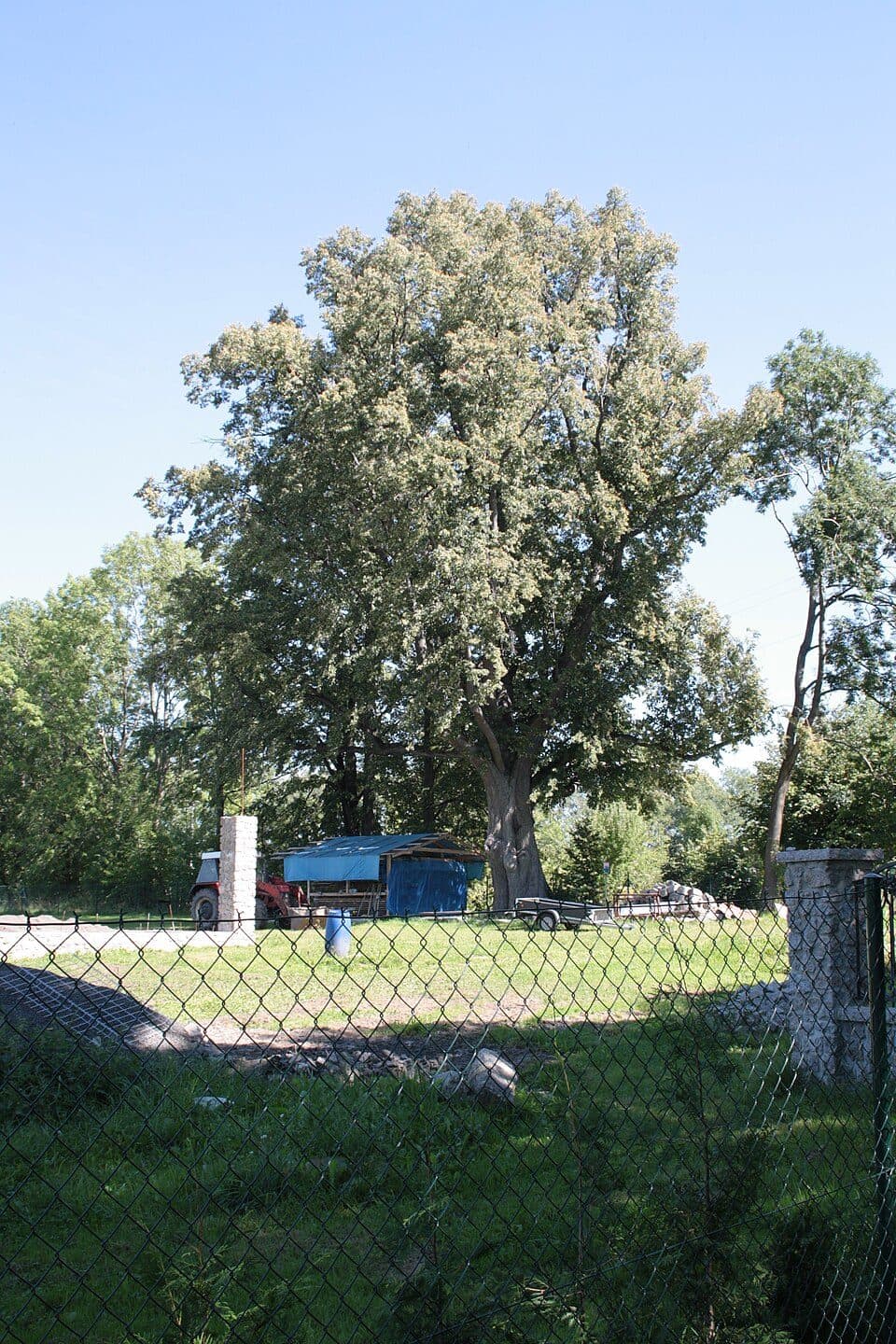 Poutní cesta