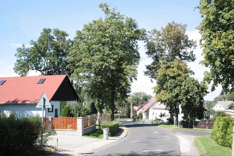[Ž] Nové Město pod Smrkem - Pod Svinským vrchem