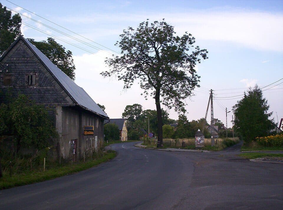 Runtrack niebieski 7 km