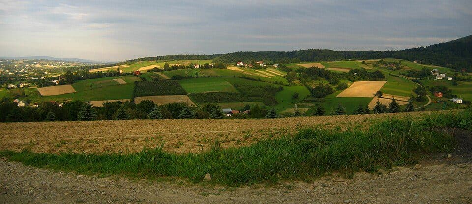 Bartnia Góra (góra)