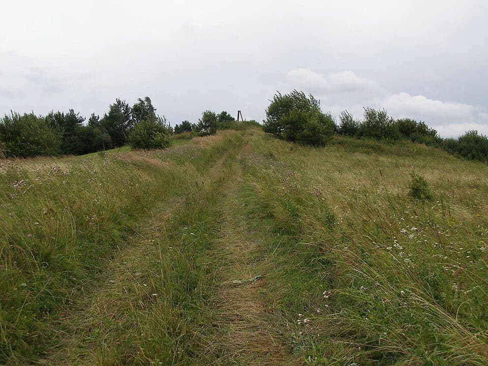 Bucznik — Foto 2