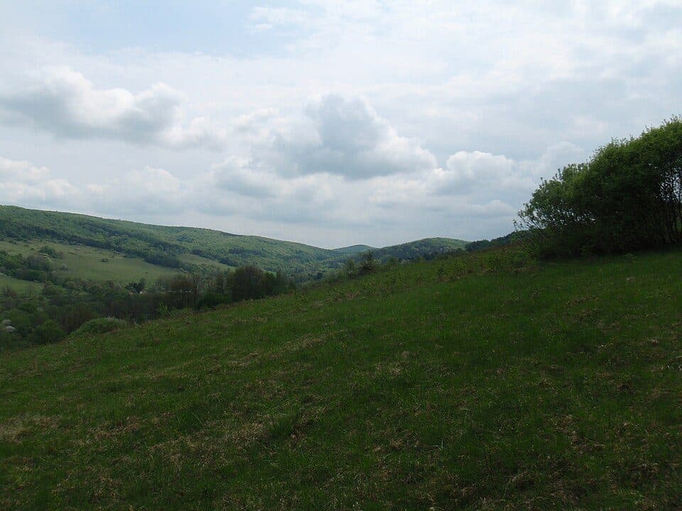 Żydowska Góra (Beskid Niski)