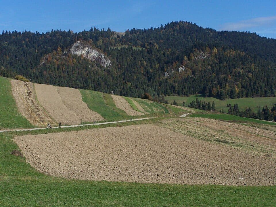Macelak — zdjęcie 2
