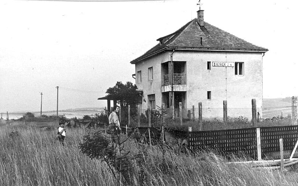 Lesek — zdjęcie 1