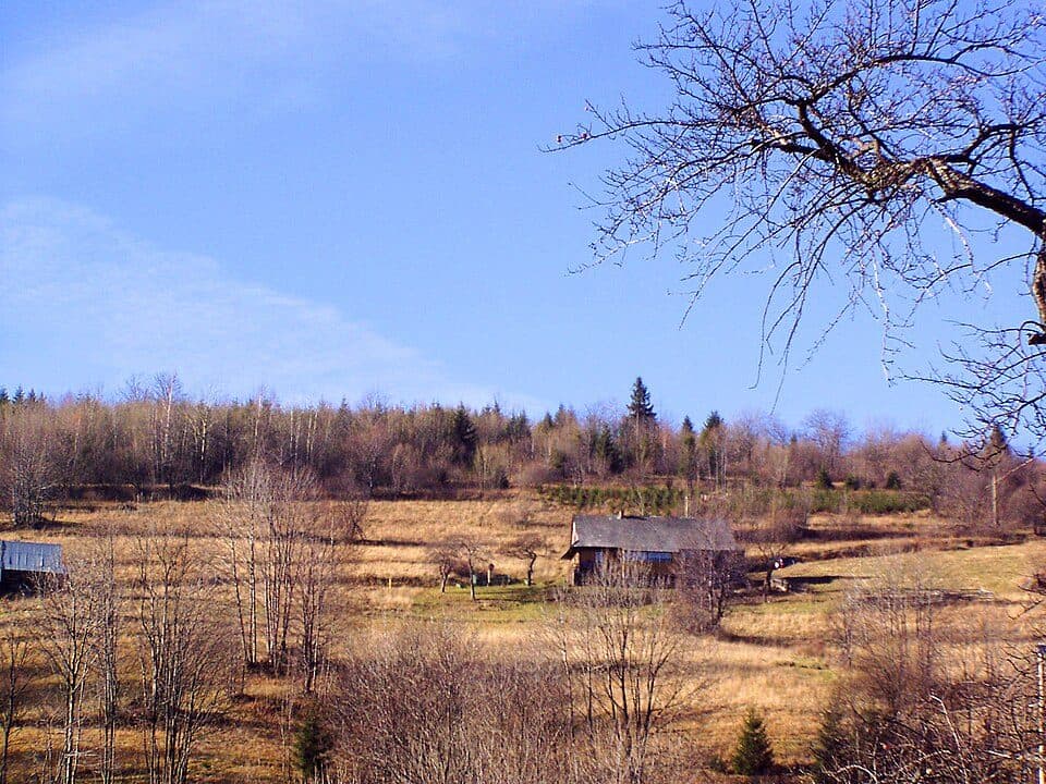 Ujsoły - Hala Rycerzowa