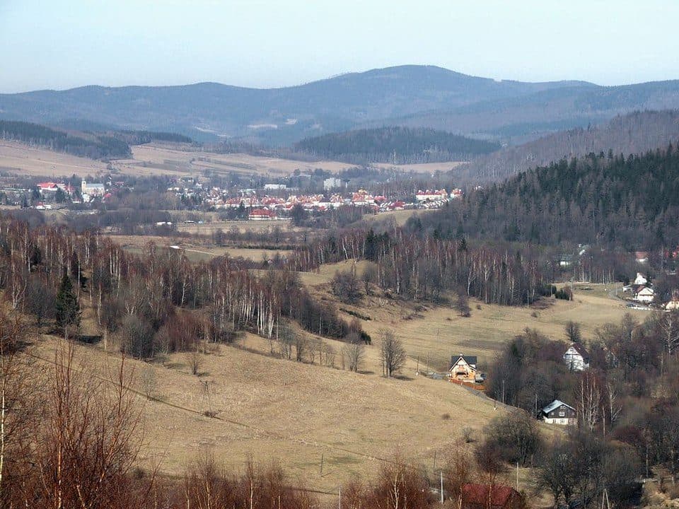 Borówkowa
