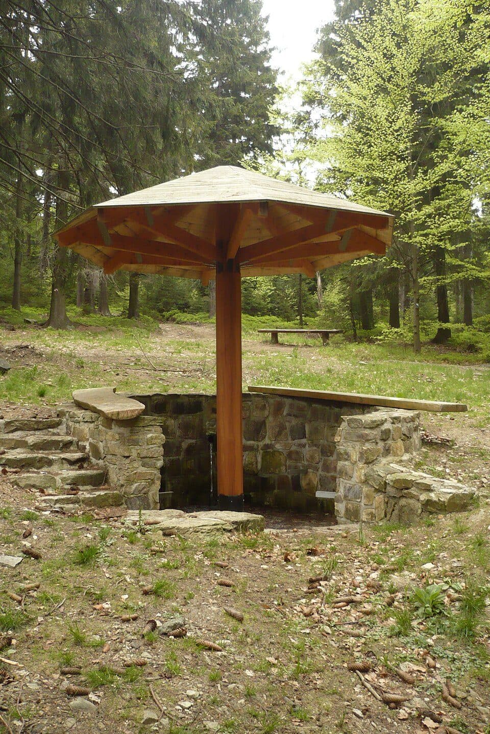 Borówkowa — zdjęcie 3