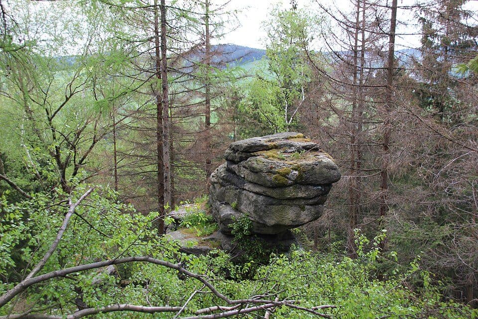 Ww Schönheide Süd - Schönheide West