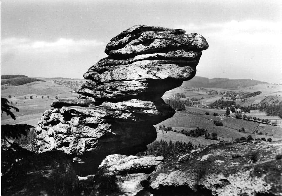 Walfischkopf