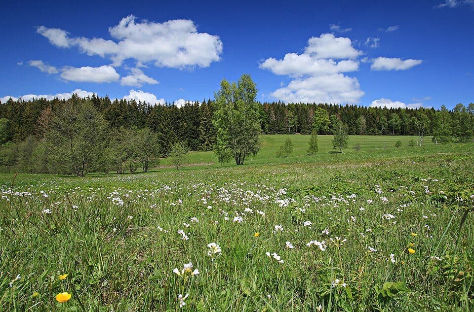 Wanderweg Lößnitz - Grünhain