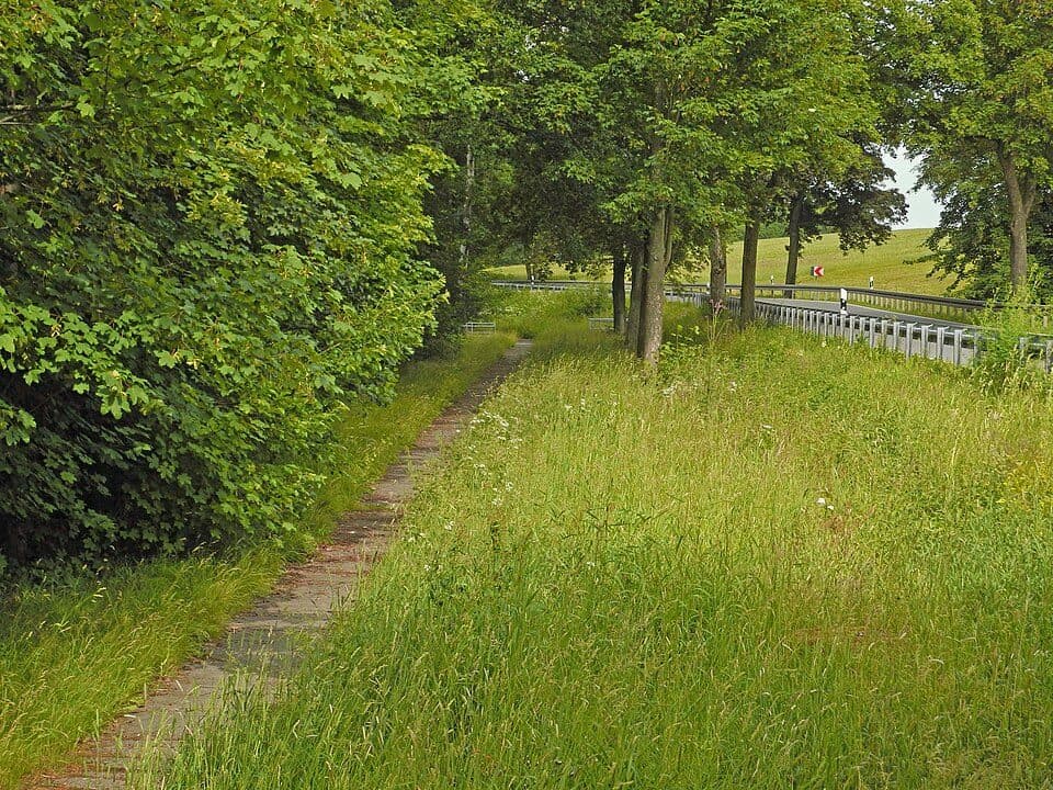 Naturlehrpfad