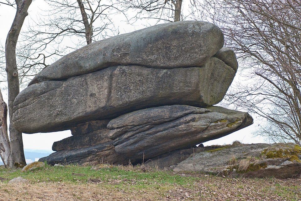 Kamenný hřib
