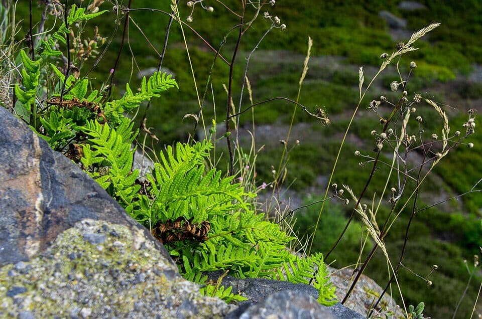 Erlbacher Rundweg