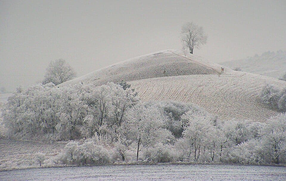 Tobiášův vrch — fotografie 2