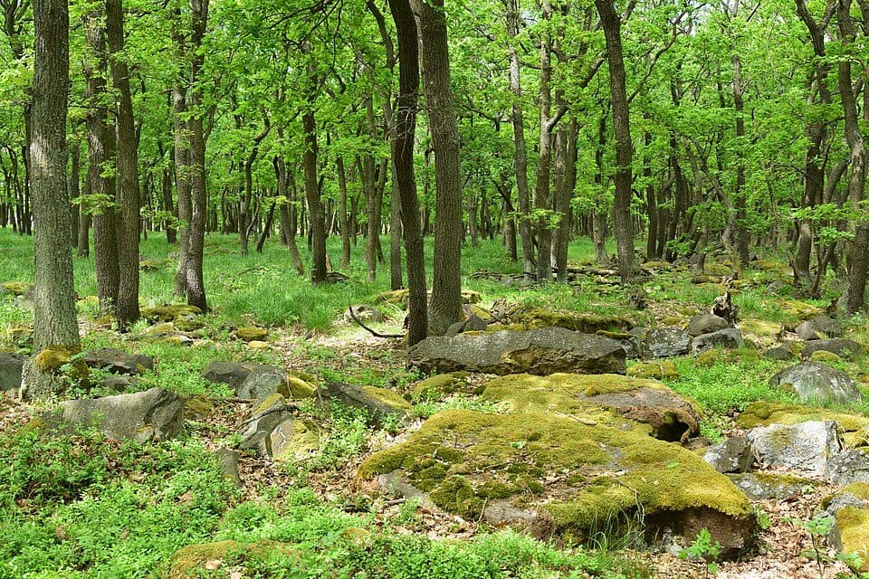 [Ž] Chomutov - Hradiště