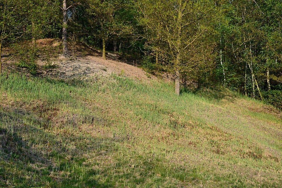 Słonisko u Škrle — zdjęcie 2