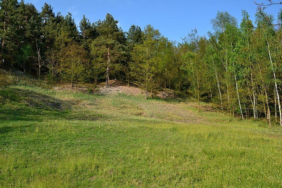 Slanisko u Škrle
