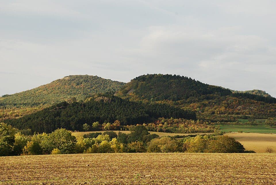 Kuzov