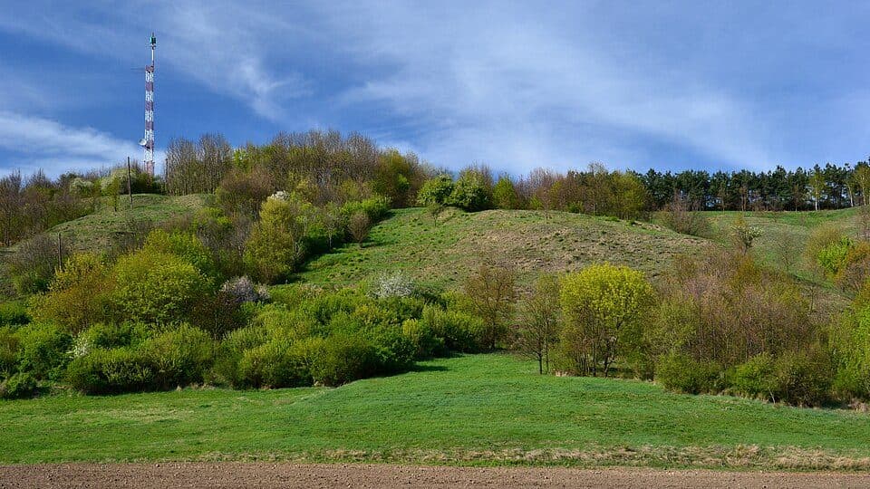 Žatec