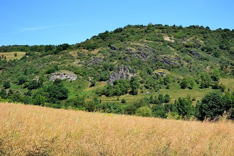 Rač (přírodní rezervace)