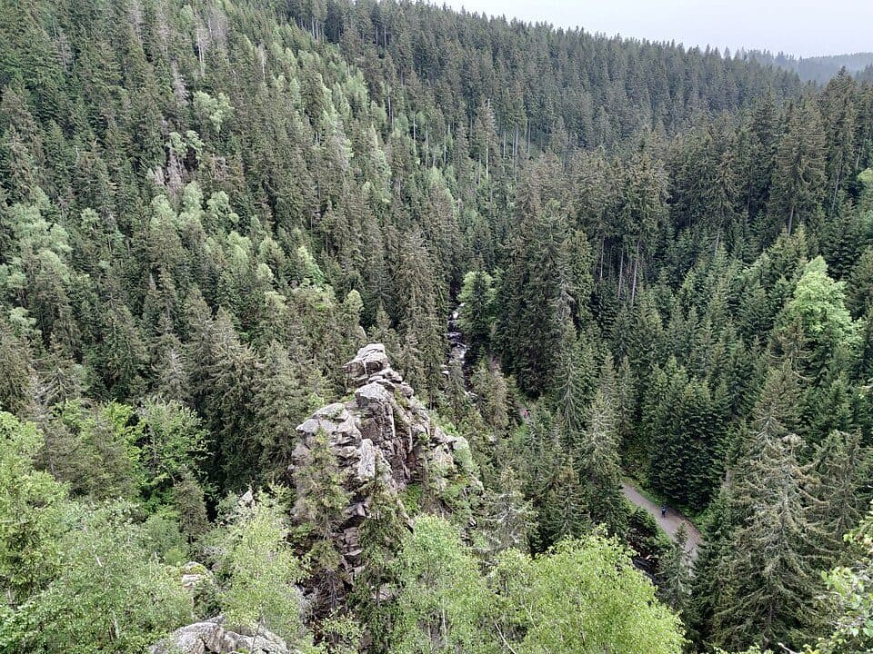 Ww Pockau-Ansprung Oberdorf