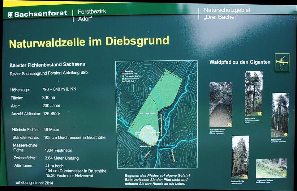 Ww Morgenröthe - Drei Bächel
