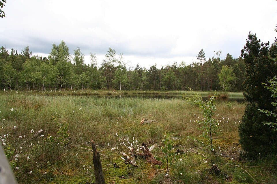 Wanderweg Zwönitz - Geyerscher Teich