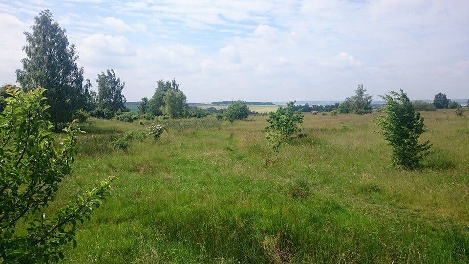 Am Rümpfwald