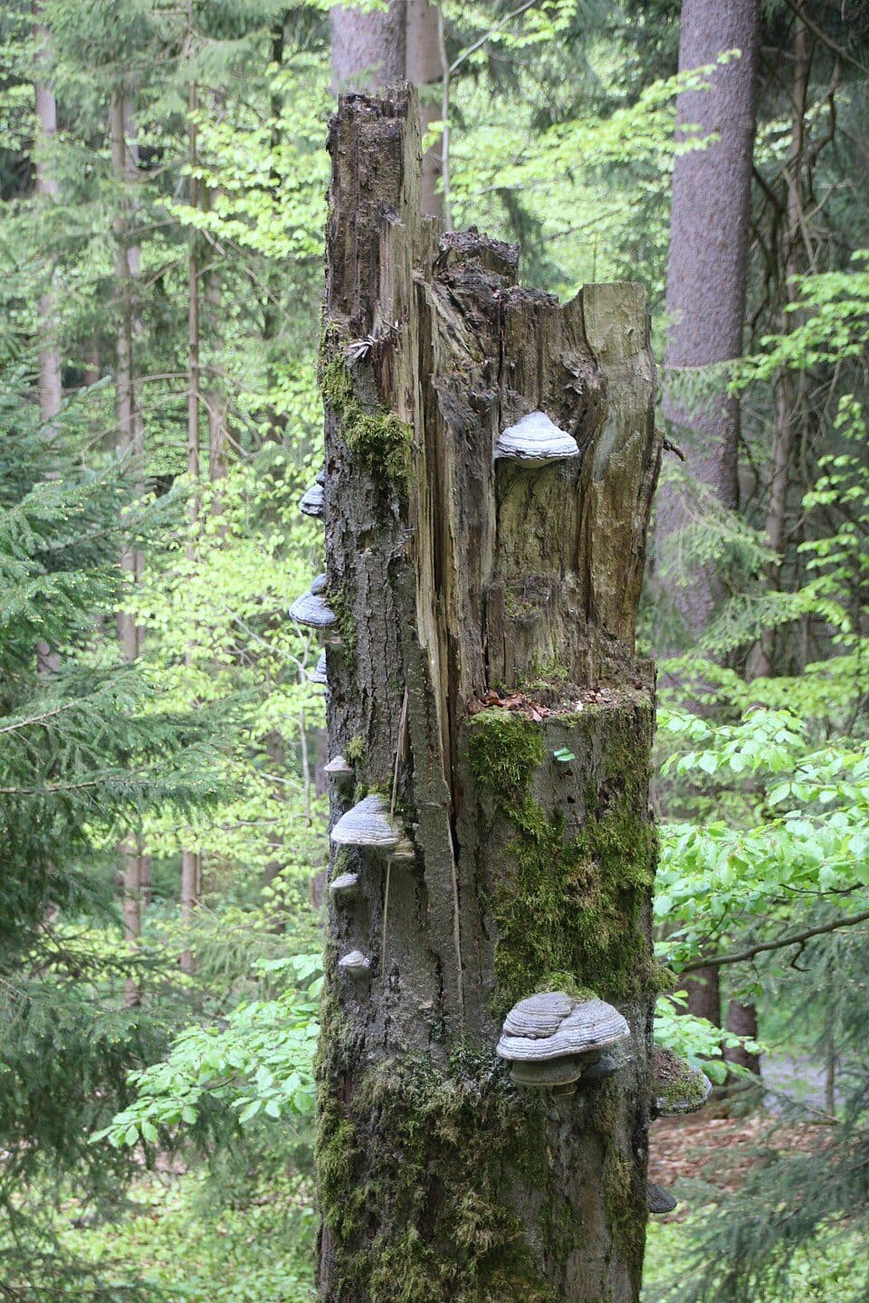 Am Riedert — zdjęcie 2