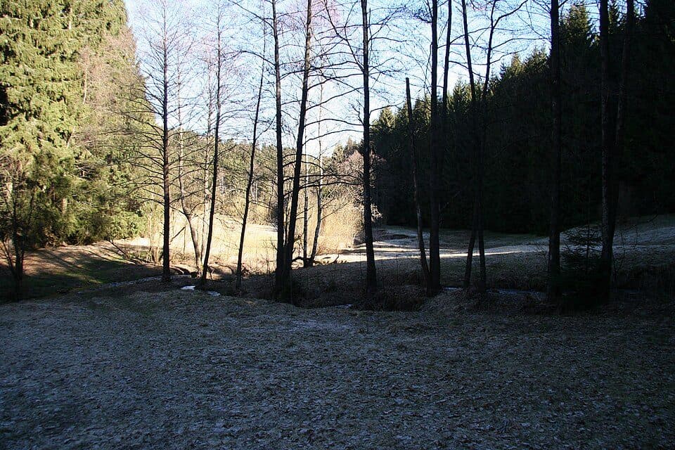 WW Arnsfeld-Neugrumbach