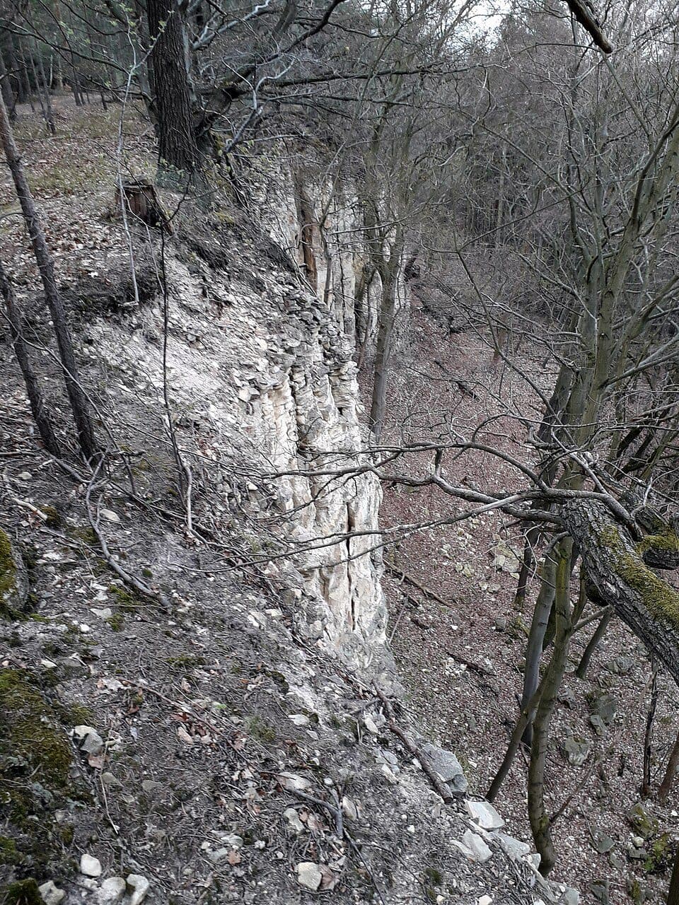 [Z] Výrov (rozc.) - Žerotín