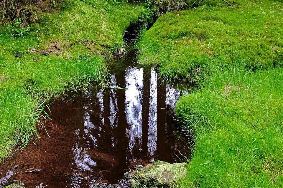 Rund um die Talsperre Carlsfeld