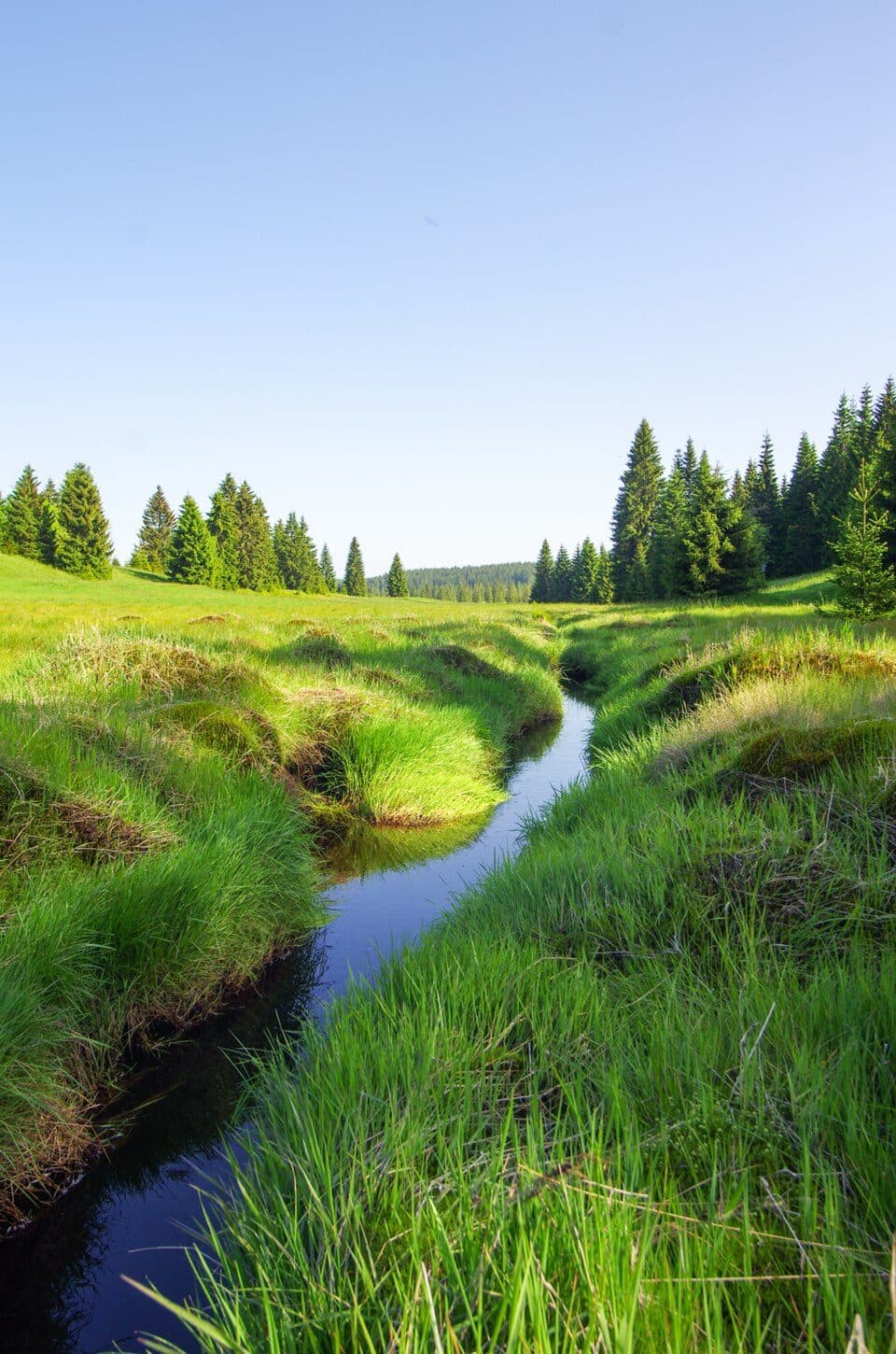 národní přírodní památka Rolavská vrchoviště