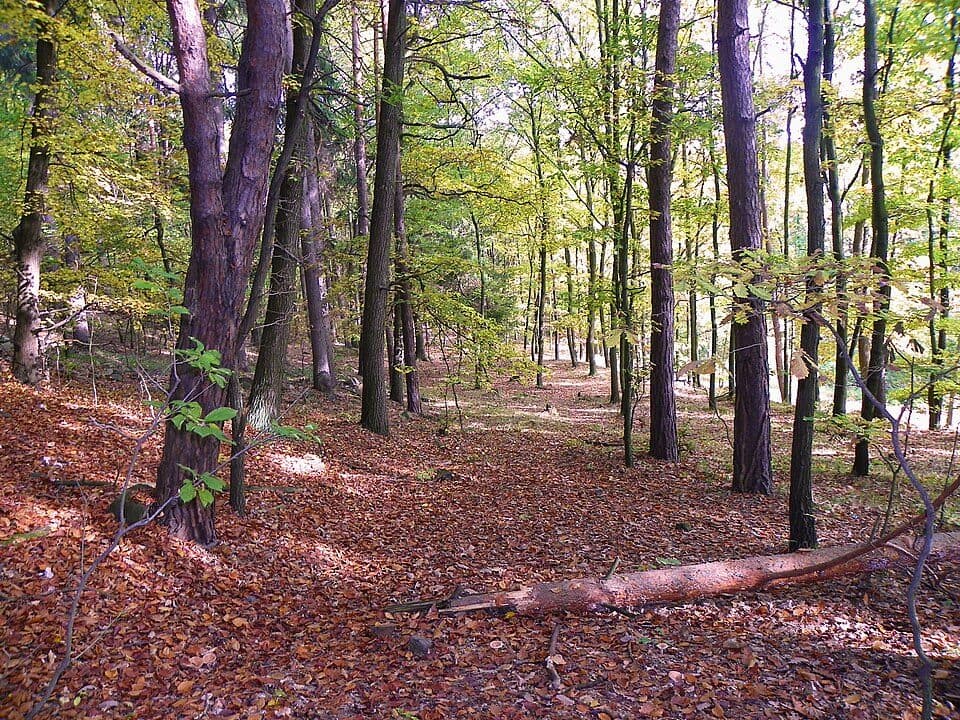 NPP Ciboušov — zdjęcie 3