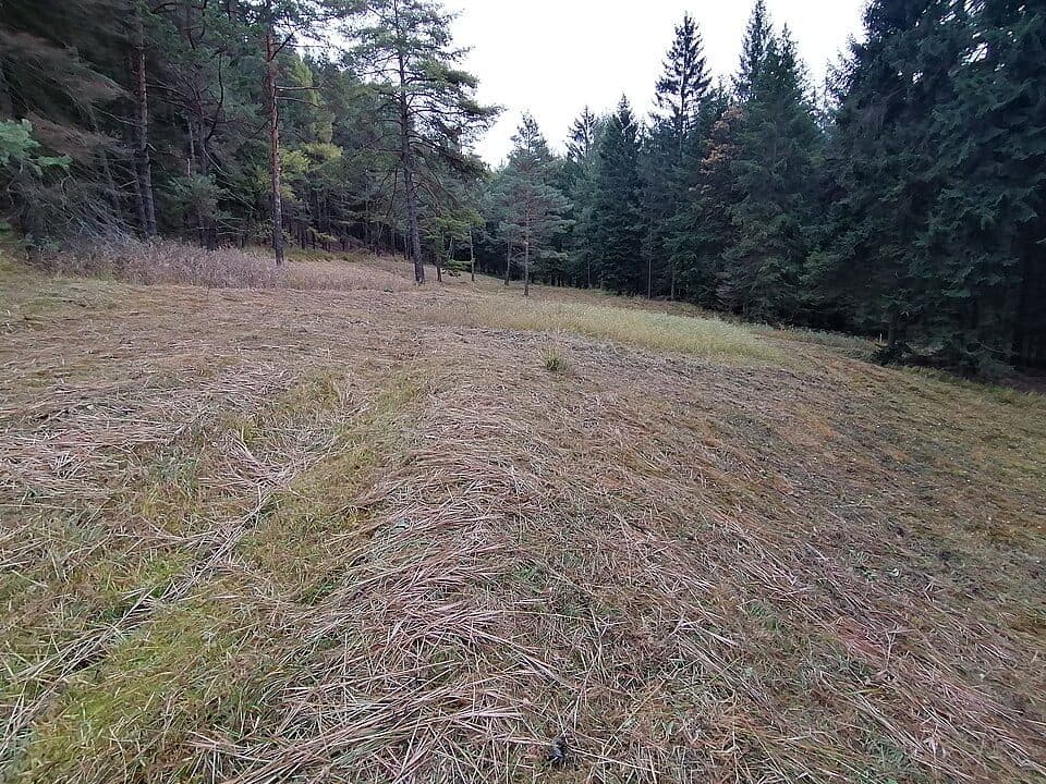 Cikánský dolík — photo 3