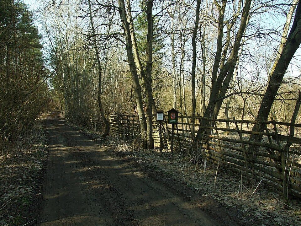 NS Novostrašecká