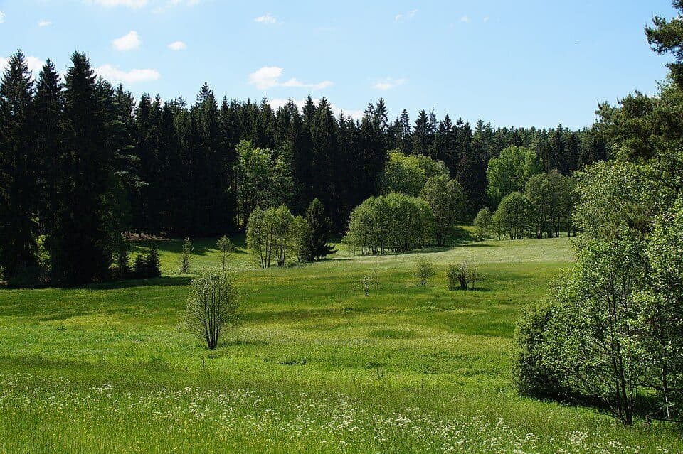 Rauner- und Haarbachtal