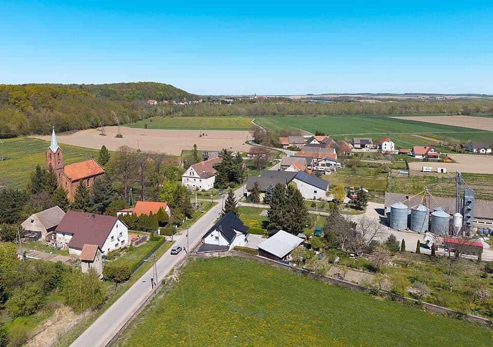 parkowy zielony