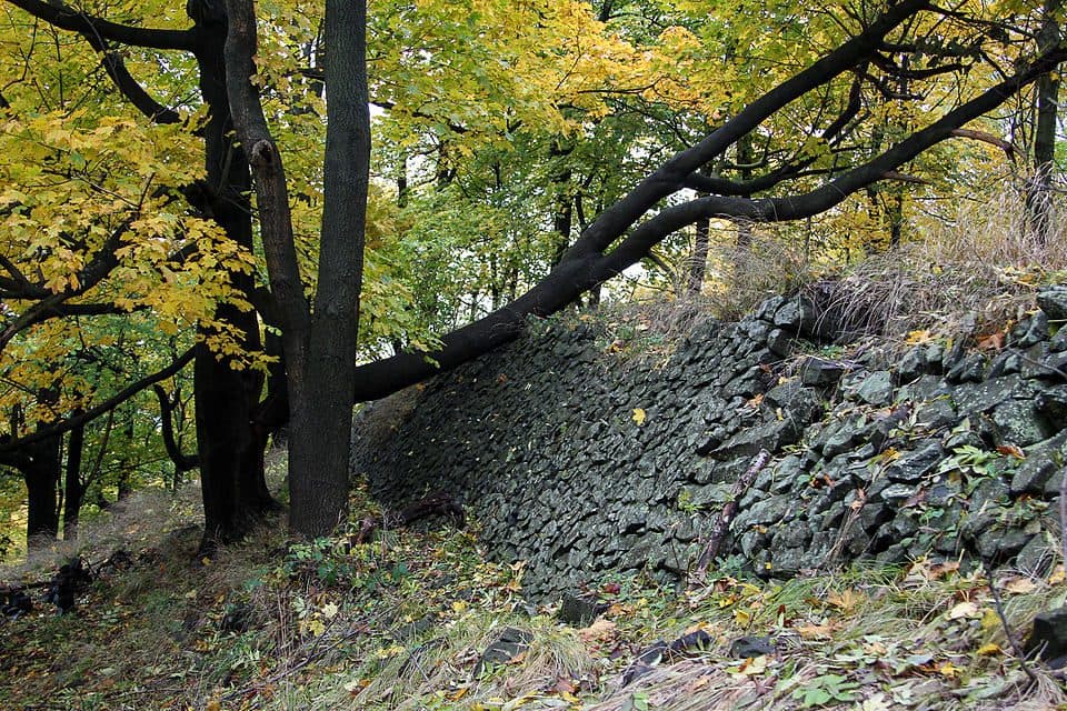 NS Růžová