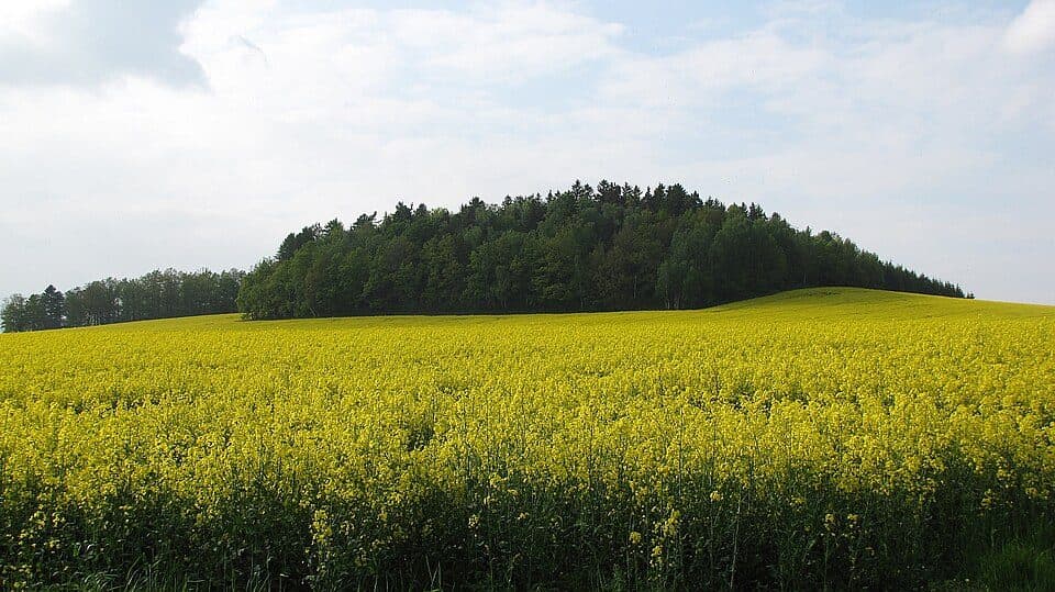 Hänscheberg