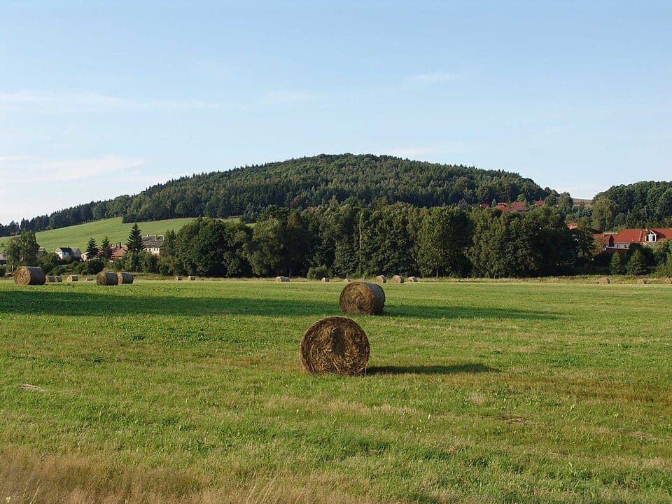 Werner-Andert-Ringweg