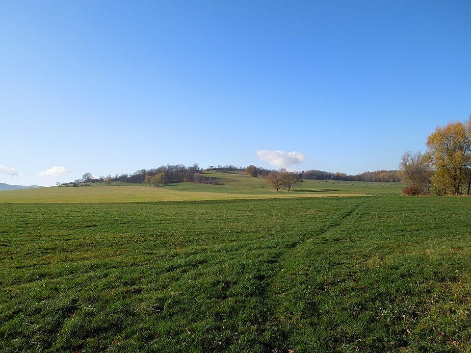 Finkenhübel