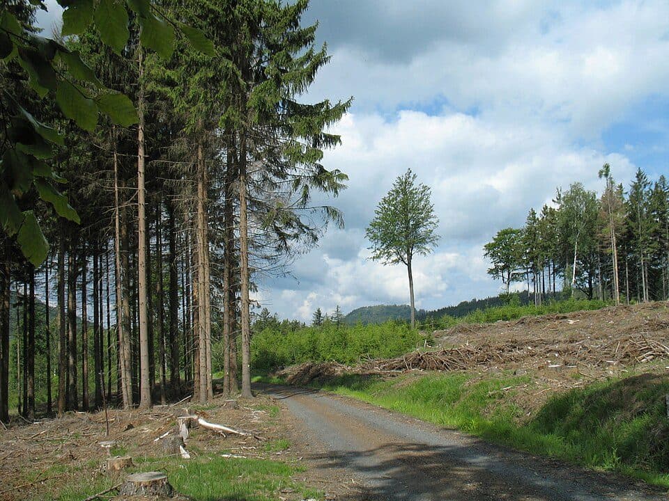 Via Czechia - Severní (4. Lužické hory)