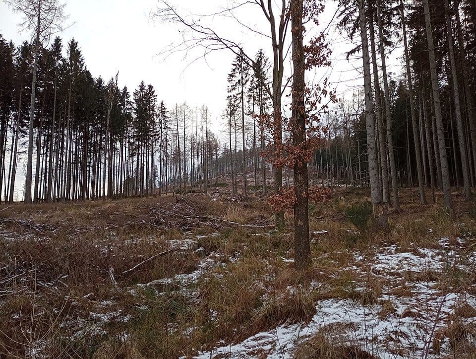 Via Czechia - Středozemím (1. Šluknovsko a Lužické hory)