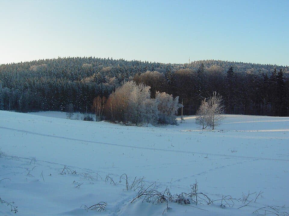 Grüner Punkt, Sebnitzer Wald