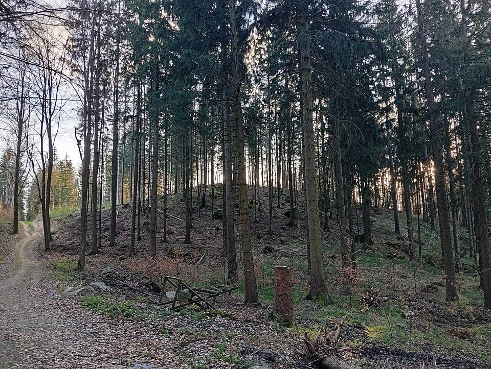 Wolfstein