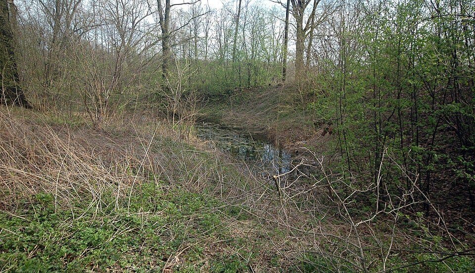 Paczków - Ziębice