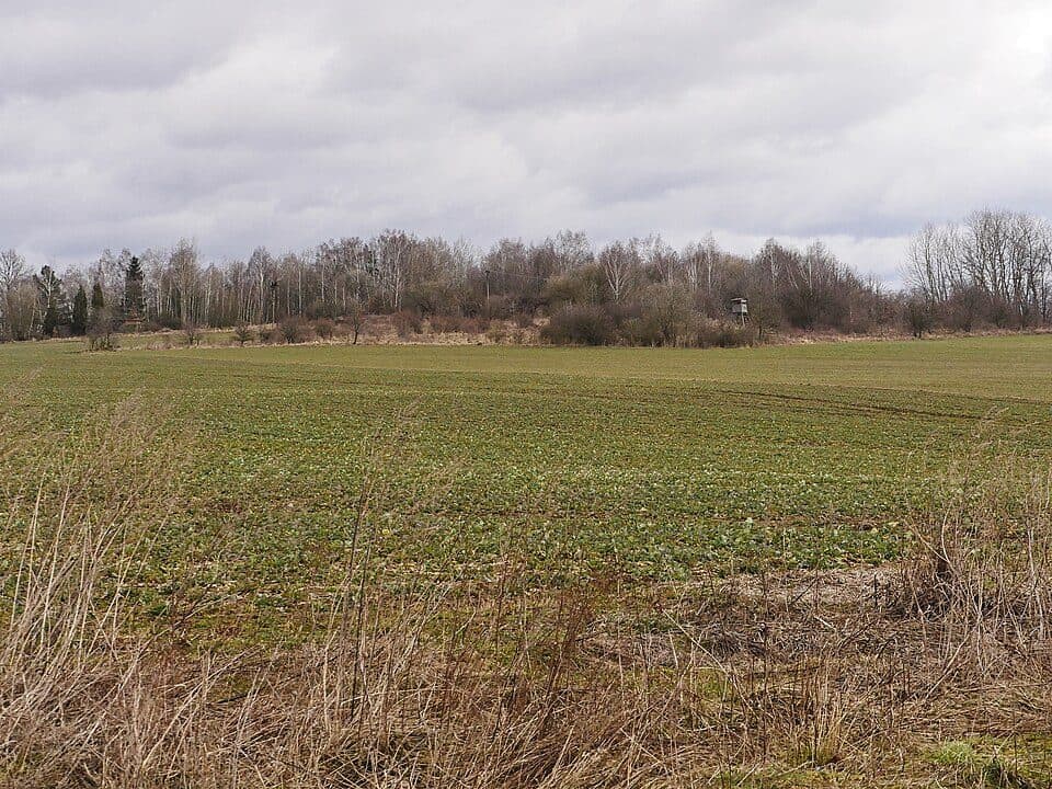 Strážný vrch