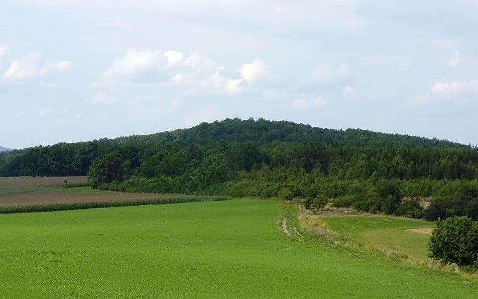 Schönbrunner Berg